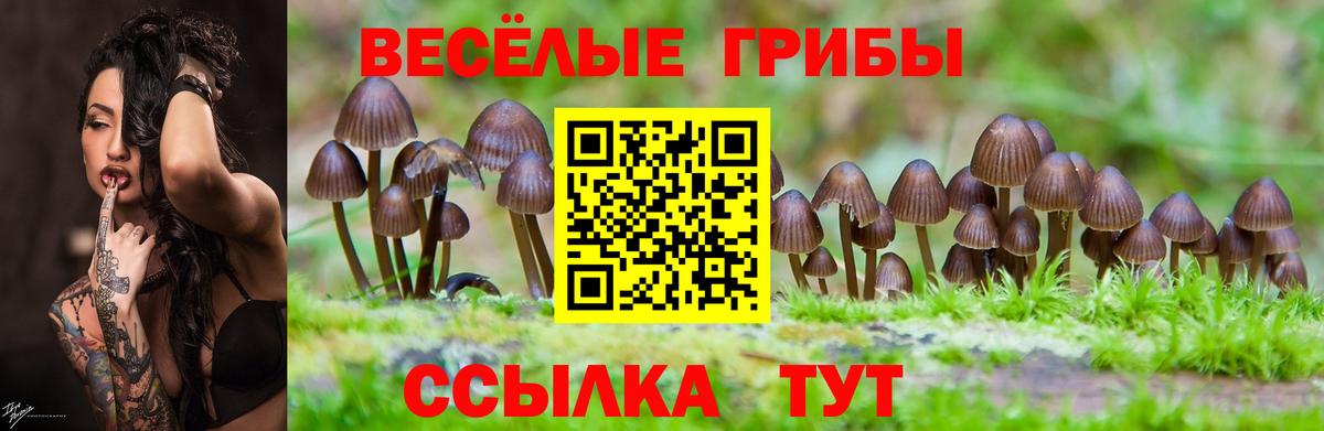 Камышин  Галлюциногенные грибы ЛСД  наркота  Вход с VPN  Галлюциногенные грибы ЛСД 